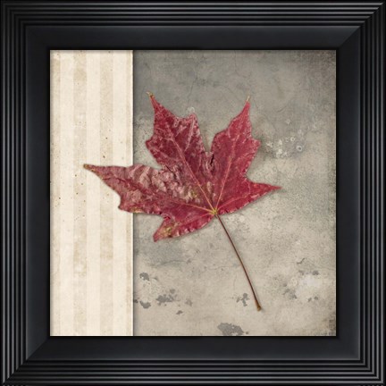 Framed Lodge Leaf 1 Print