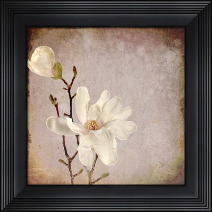 Framed Paper Magnolia Duo Print
