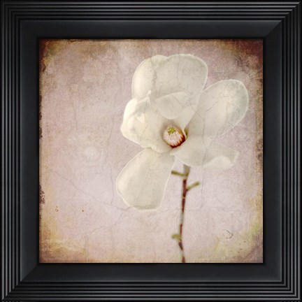 Framed Paper Magnolia Print