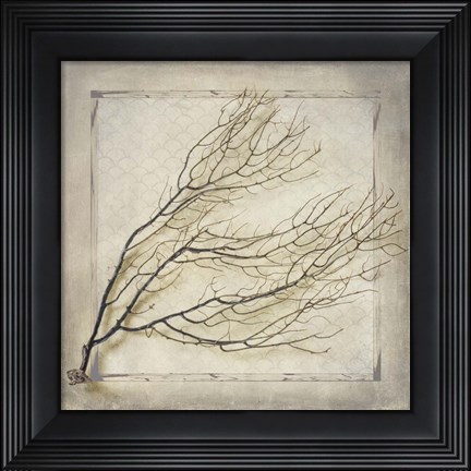 Framed Starfish Sea Leaf Print