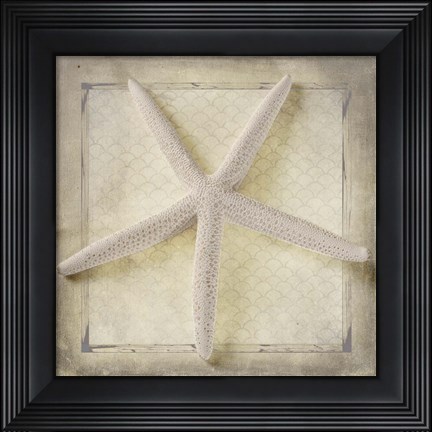 Framed Starfish Print