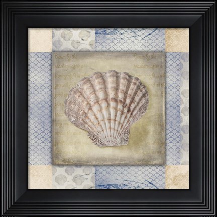 Framed White Sea Shell Print