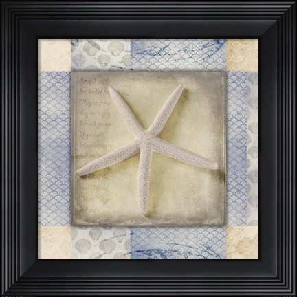 Framed White Sea Starfish Print