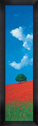 Framed Pendio Fiorito Print