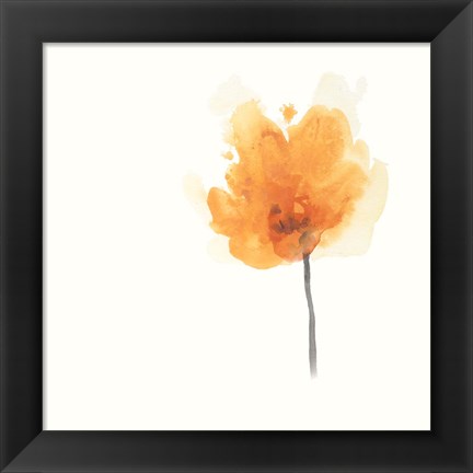 Framed Expressive Blooms IX Print