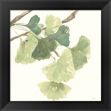 Framed Gingko Leaves I Light Print