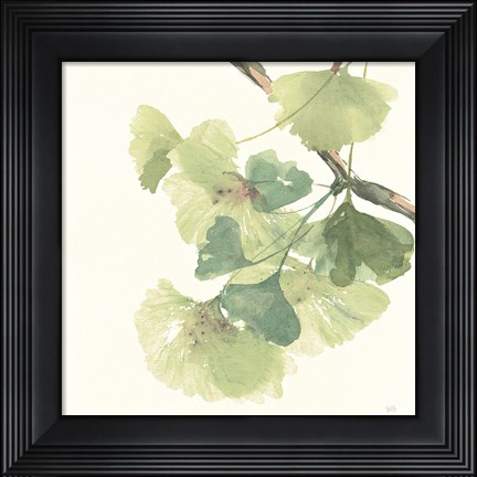 Framed Gingko Leaves II Light Print