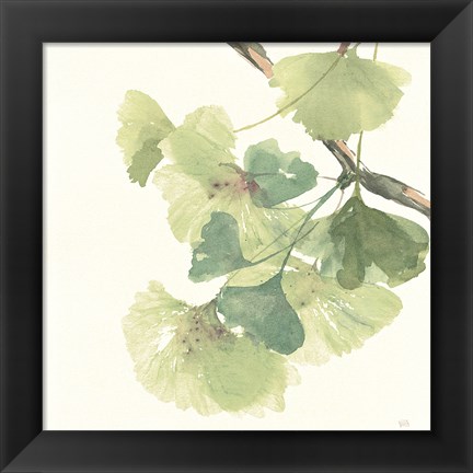 Framed Gingko Leaves II Light Print