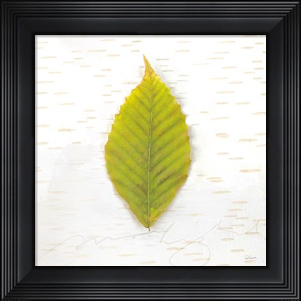 Framed Autumn Colors IV Print