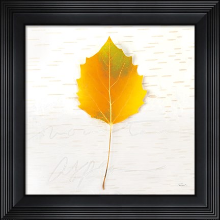 Framed Autumn Colors III Print