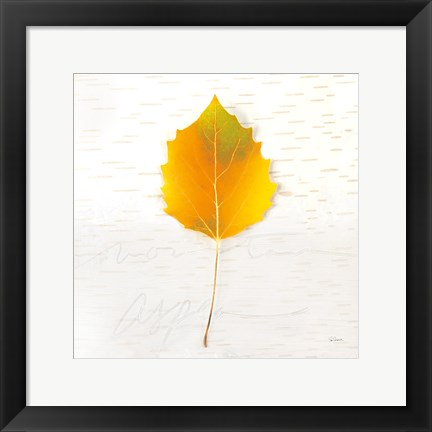 Framed Autumn Colors III Print