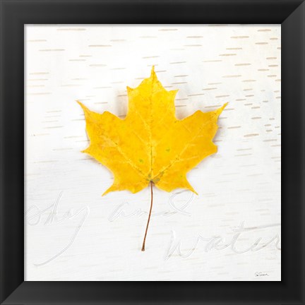 Framed Autumn Colors II Print