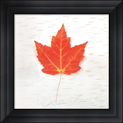 Framed Autumn Colors I Print