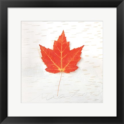 Framed Autumn Colors I Print