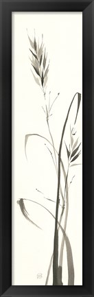 Framed Wild Grass II Print