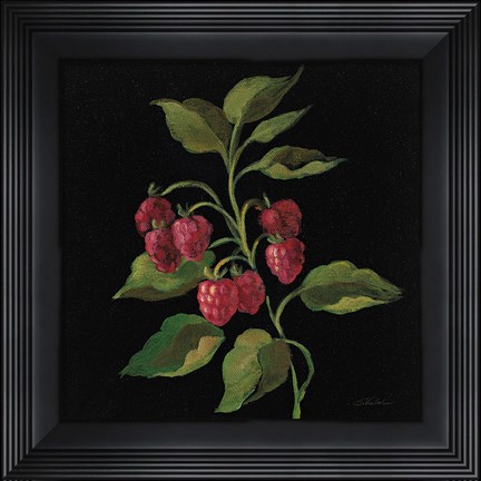 Framed Framboise no Words Print