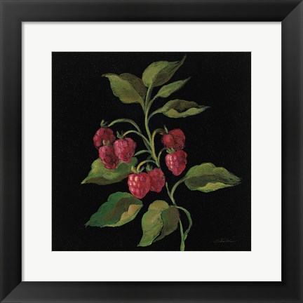 Framed Framboise no Words Print