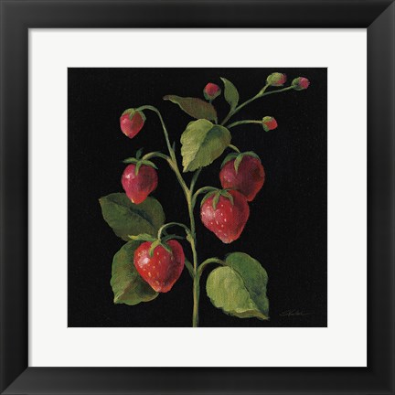 Framed Fraise no Words Print