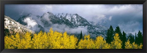 Framed Mount Saint John, Grand Teton National Park, Wyoming Print