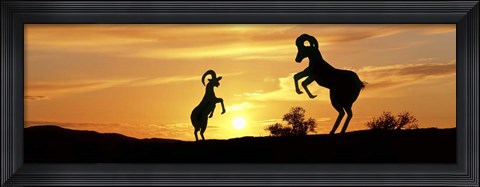 Framed Bighorn Sheep Sculptures, Borrego Springs, California Print