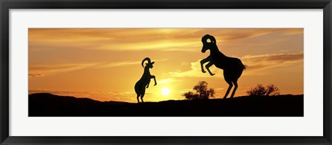 Framed Bighorn Sheep Sculptures, Borrego Springs, California Print