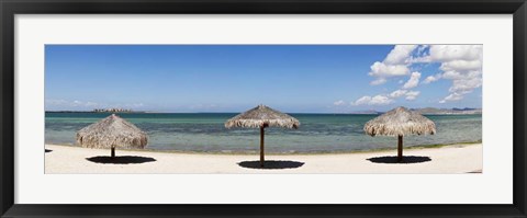 Framed Sun Shade on the Beach of La Paz, Baja California Sur, Mexico Print