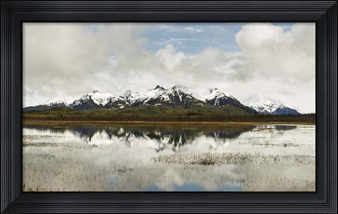 Framed Snowcapped Chugach Mountains in Copper River Delta, Chugach National Forest, Alaska Print