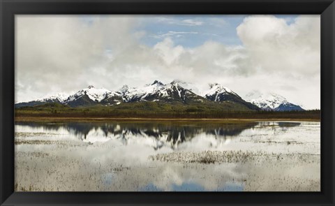 Framed Snowcapped Chugach Mountains in Copper River Delta, Chugach National Forest, Alaska Print