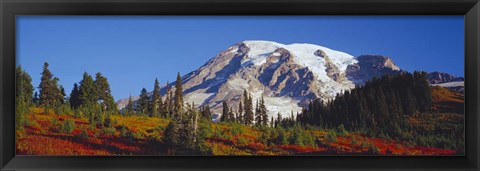 Framed Mt. Rainier and Fall Color, WA Print