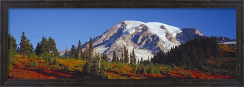 Framed Mt. Rainier and Fall Color, WA Print