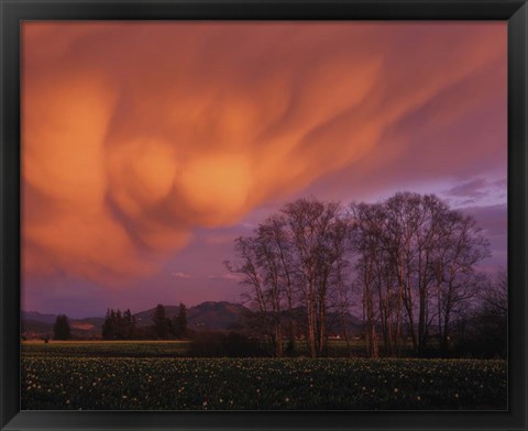 Framed Clouds in the Evening Light, Skagit Valley, Washington Print