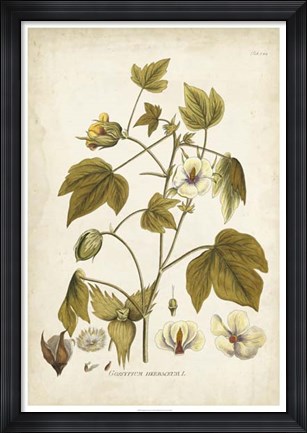 Framed Elegant Botanical I Print