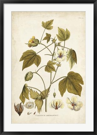 Framed Elegant Botanical I Print