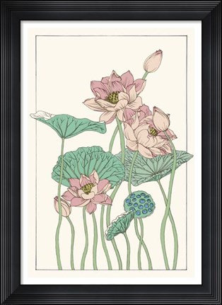 Framed Botanical Gloriosa Lotus I Print