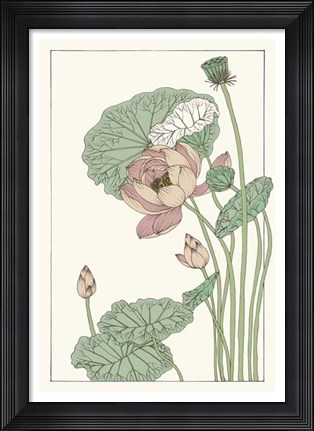 Framed Botanical Gloriosa Lotus II Print