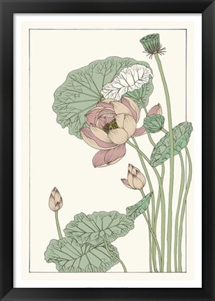 Framed Botanical Gloriosa Lotus II Print