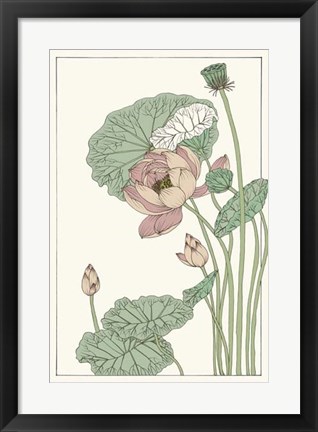 Framed Botanical Gloriosa Lotus II Print