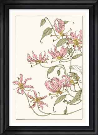 Framed Botanical Gloriosa Lily I Print