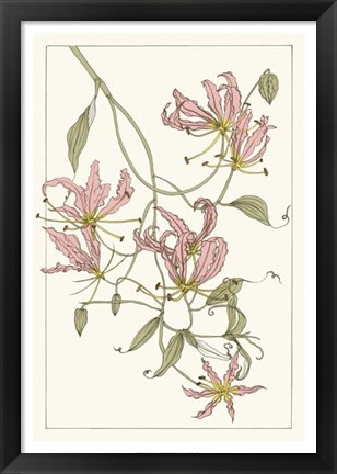 Framed Botanical Gloriosa Lily II Print