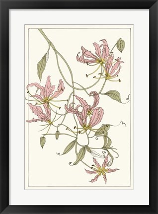 Framed Botanical Gloriosa Lily II Print