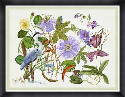 Framed Mesmerize Print