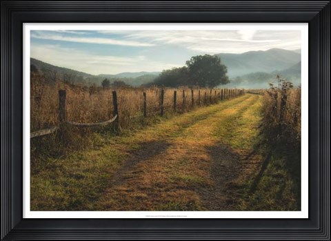 Framed Grassy Lane Print