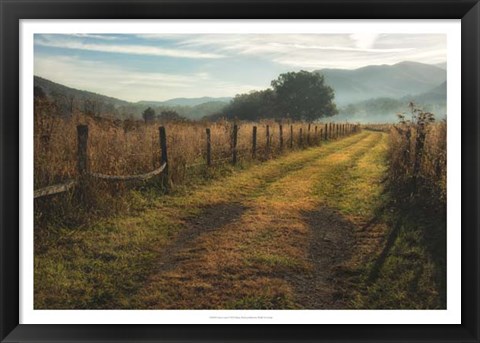 Framed Grassy Lane Print