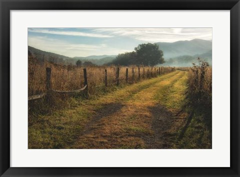 Framed Grassy Lane Print