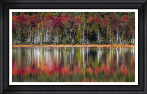 Framed Autumn Reflections Print