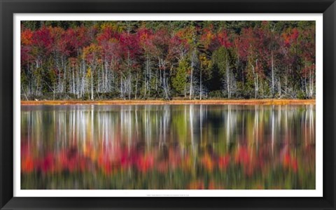 Framed Autumn Reflections Print