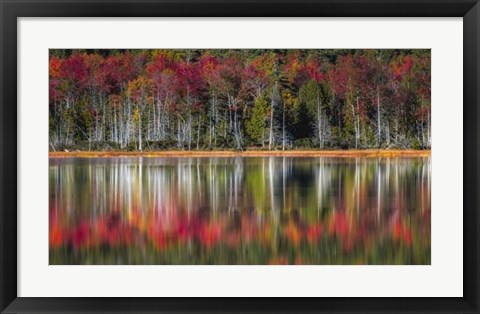 Framed Autumn Reflections Print