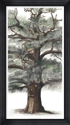 Framed Oak Tree Composition I Print
