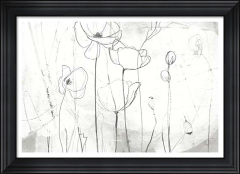 Framed Poppy Sketches I Print