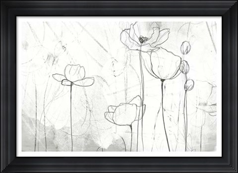 Framed Poppy Sketches II Print